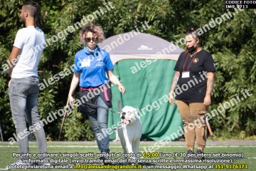 IMG_1713.jpg