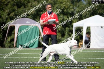 IMG_1717.jpg