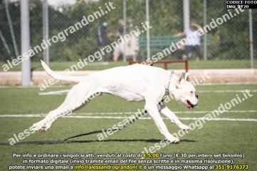 IMG_1720.jpg