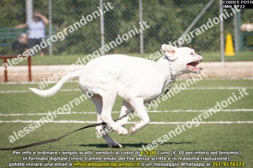 IMG_1722.jpg