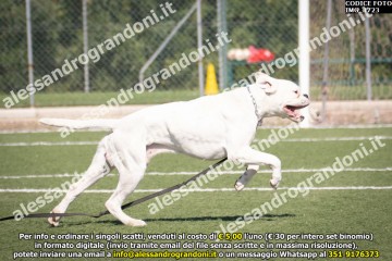 IMG_1723.jpg