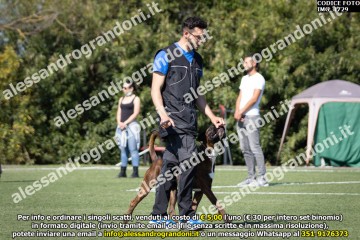 IMG_1729.jpg