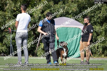 IMG_1738.jpg