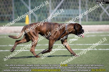 IMG_1743.jpg