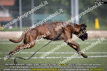 IMG_1744.jpg