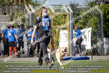 IMG_1751.jpg