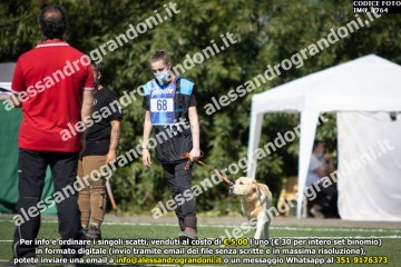 IMG_1764.jpg