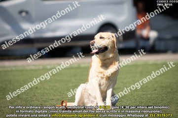 IMG_1768.jpg