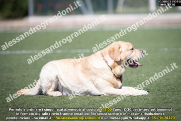 IMG_1770.jpg
