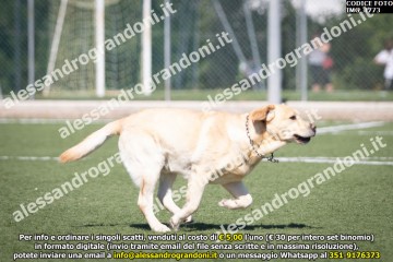 IMG_1773.jpg
