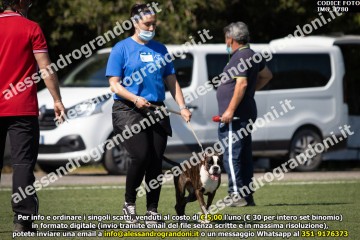 IMG_1780.jpg