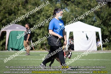 IMG_1782.jpg
