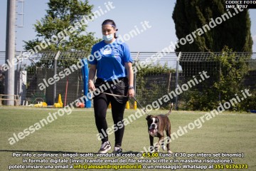 IMG_1787.jpg
