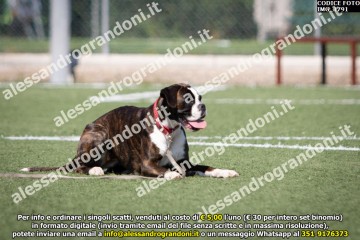 IMG_1791.jpg