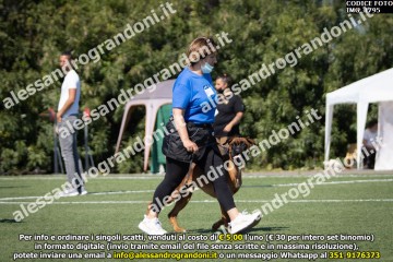 IMG_1795.jpg