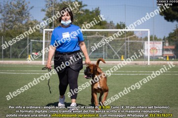 IMG_1799.jpg