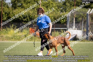 IMG_1800.jpg