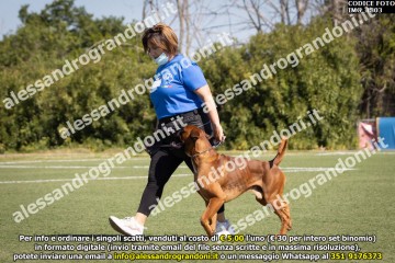IMG_1803.jpg