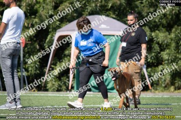 IMG_1806.jpg