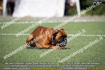 IMG_1808.jpg