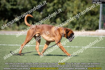 IMG_1809.jpg