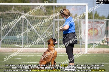 IMG_1811.jpg