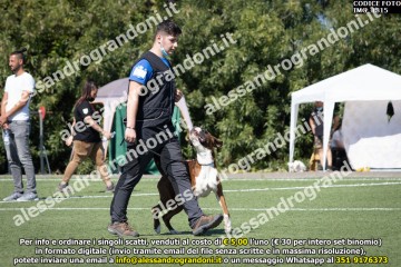 IMG_1815.jpg