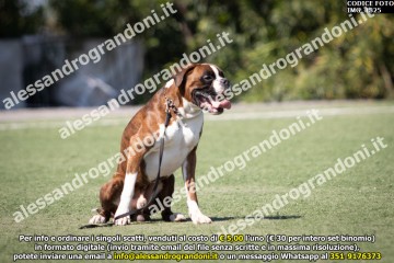 IMG_1825.jpg