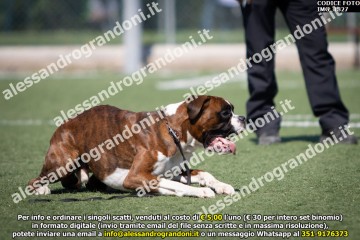 IMG_1827.jpg