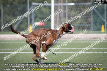 IMG_1828.jpg