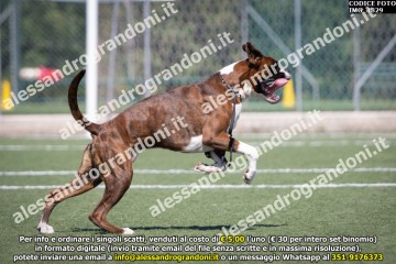 IMG_1829.jpg