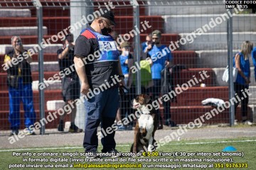 IMG_1835.jpg