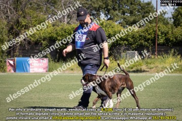 IMG_1843.jpg
