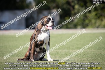 IMG_1848.jpg