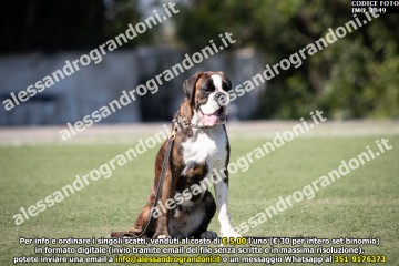 IMG_1849.jpg