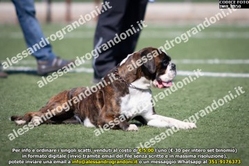 IMG_1850.jpg