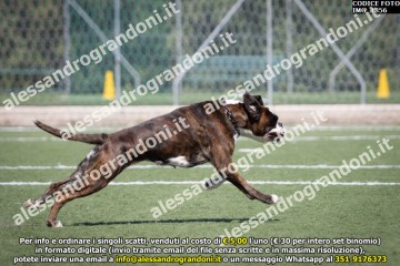 IMG_1856.jpg