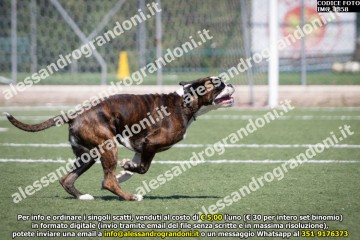 IMG_1858.jpg