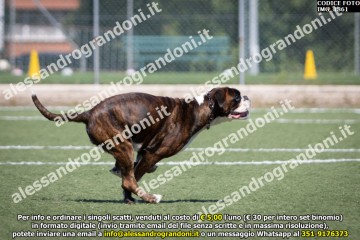 IMG_1861.jpg