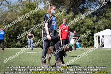 IMG_1865.jpg