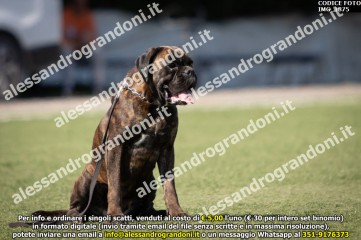 IMG_1875.jpg