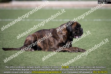 IMG_1877.jpg
