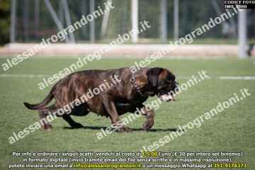 IMG_1880.jpg