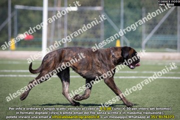 IMG_1888.jpg