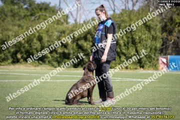 IMG_1892.jpg