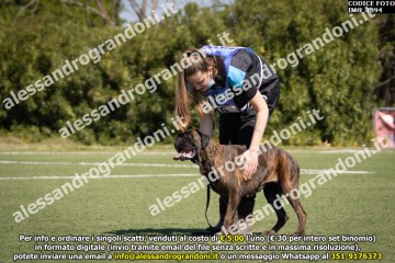 IMG_1894.jpg