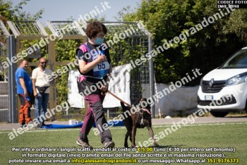 IMG_1898.jpg