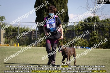 IMG_1906.jpg