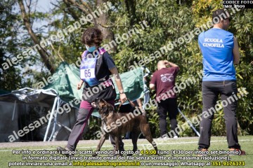 IMG_1909.jpg