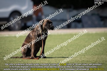 IMG_1910.jpg